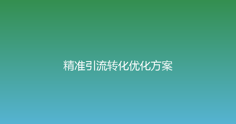 精准引流转化优化方案 封面图