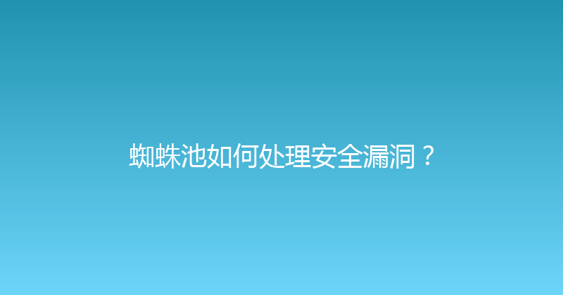 蜘蛛池如何处理安全漏洞？ 封面图